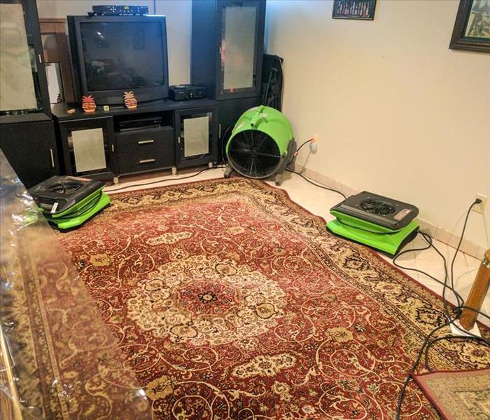 Carpet drying with air movers