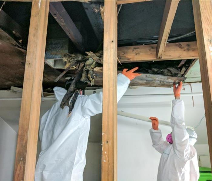 Specialists in PPE combating mold in an apartment in Montclair, NJ