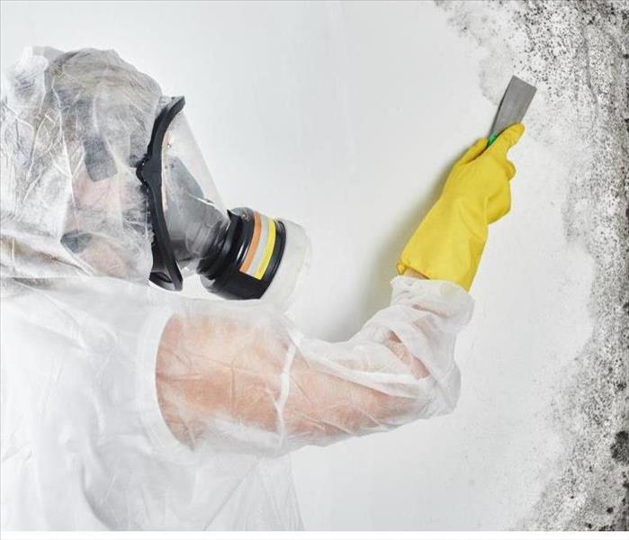 A specialist removing mold from of a room