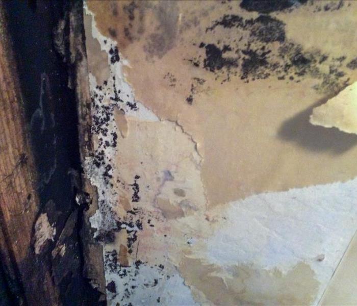 Mold damage on the wall of a Montclair, NJ home