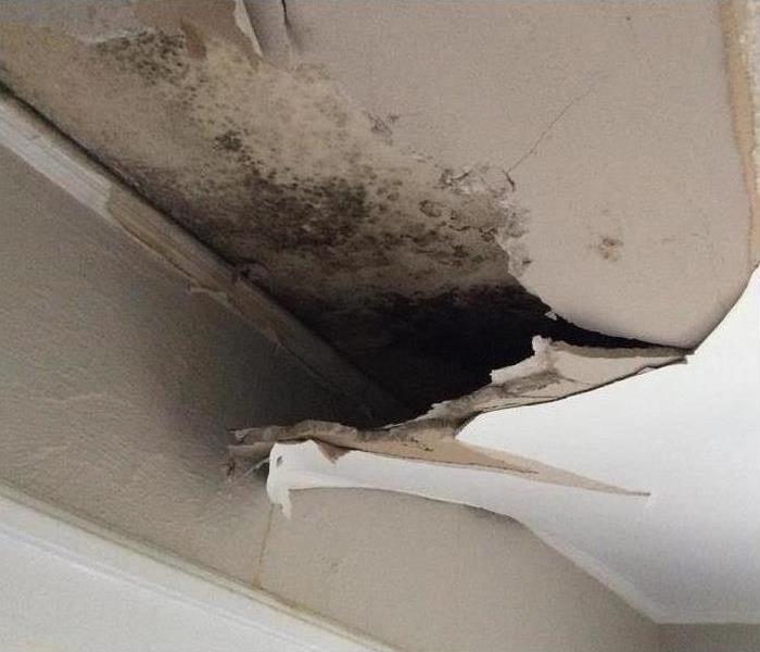 Ceiling collapsed after a storm, black mold growth on ceiling