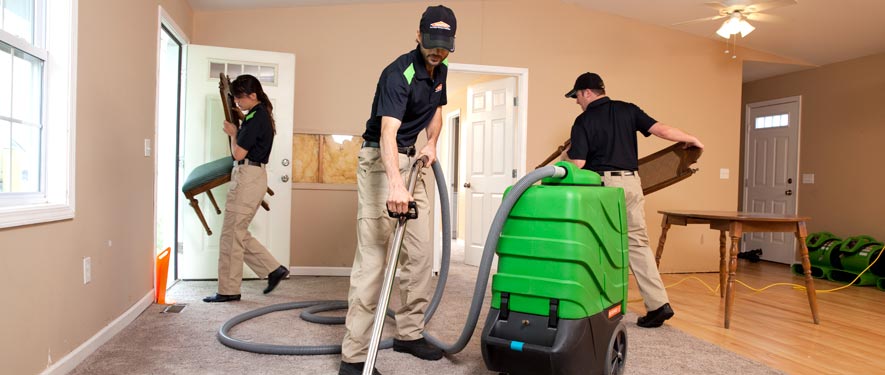 Montclair, NJ cleaning services